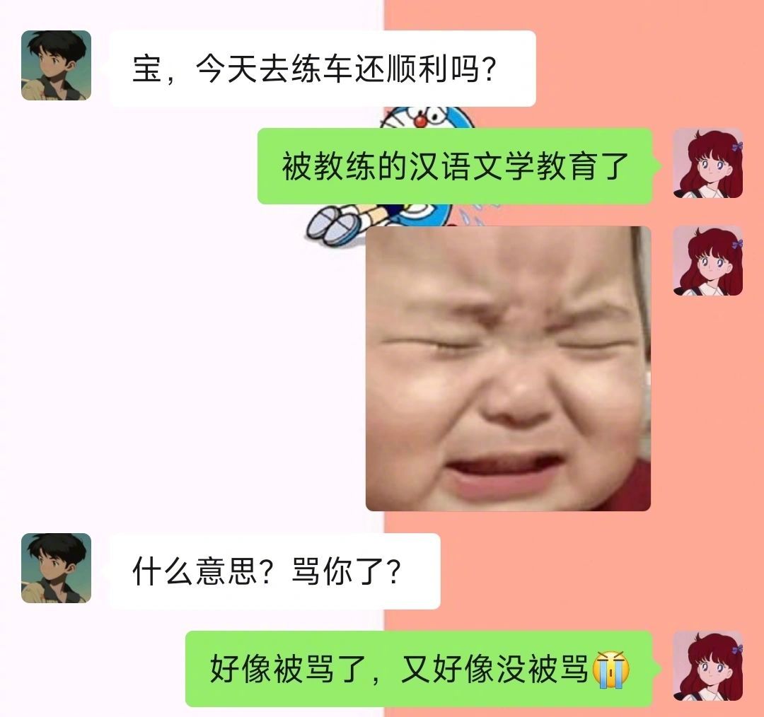 《驾校教练的汉语文学》 ​​​