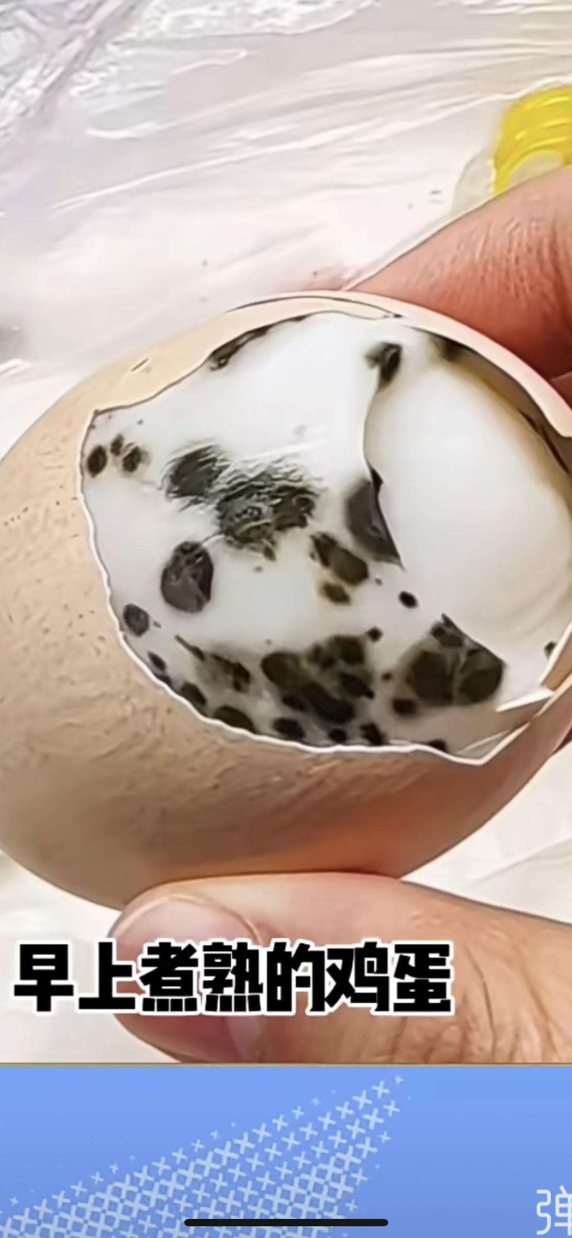 早上煮熟的鸡蛋没注意，剥开咬了一口才发现，这鸡蛋长满了黑斑，刚开始还以为是坏了，