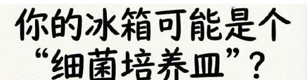 日常使用冰箱，我发现细节养护特别重要。冰箱不要塞得满满当当，预留空隙利于冷气循环