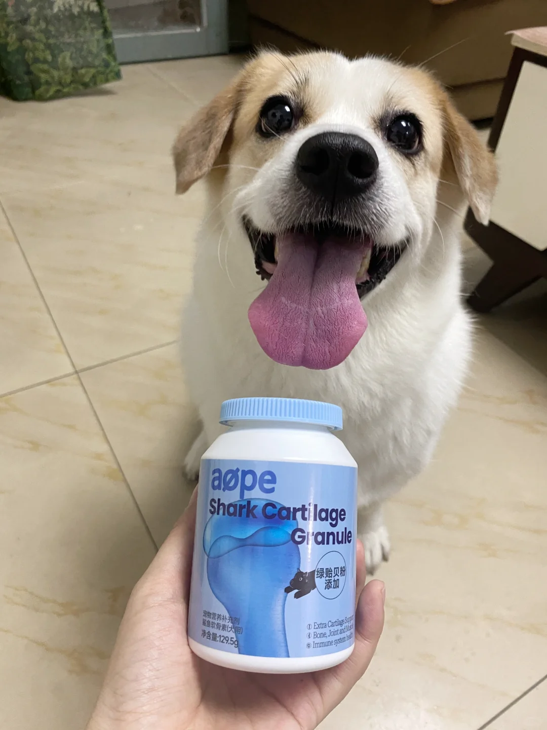 灵活的白胖胖偷偷在吃这个