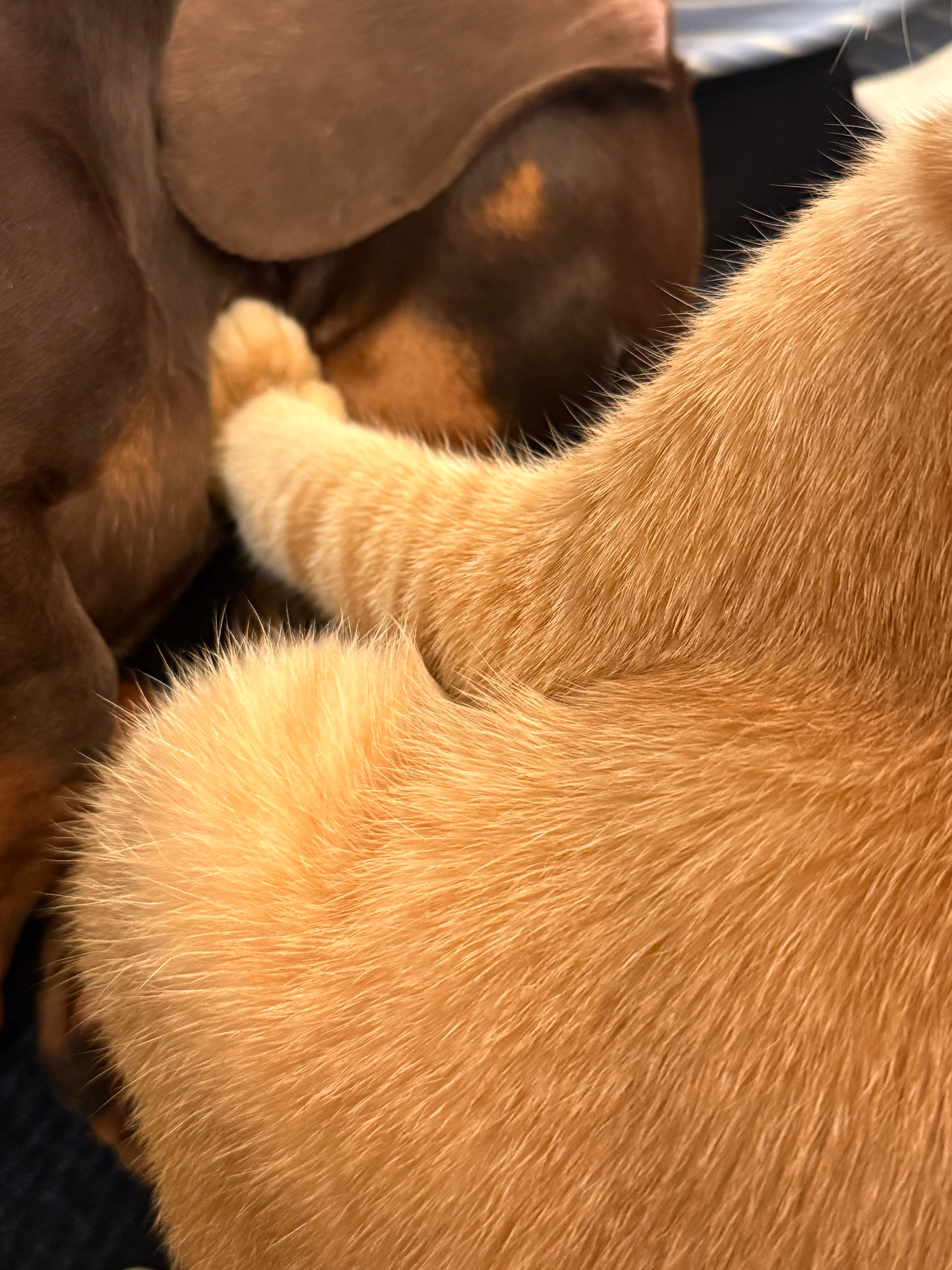 天天互殴谁也不放过谁 