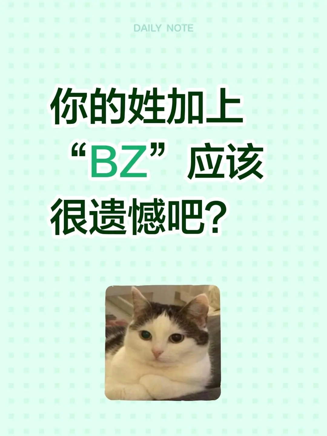 你的姓加上“BZ”应该很遗憾吧？