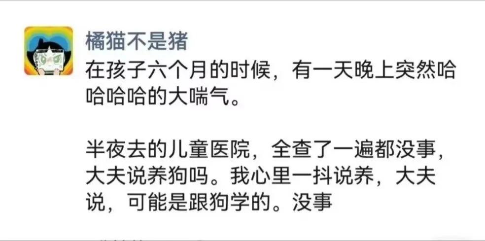 哈哈哈哈