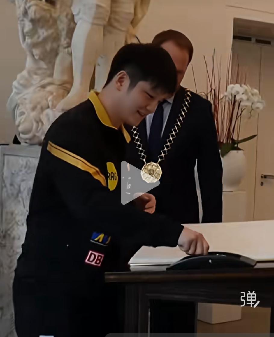 看樊振东笑的那么开心，
我们放心了，只有祝福。
看到一则大师级别评论，
我们感动