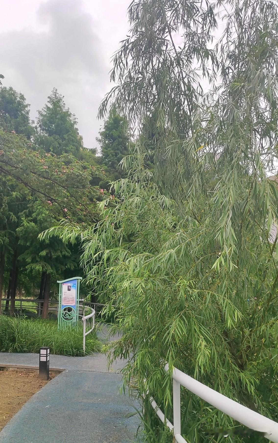 中年人的爱情就像阳了，偷偷摸摸的只有自己知道[奸笑]
感觉今天我当了个大电灯泡[