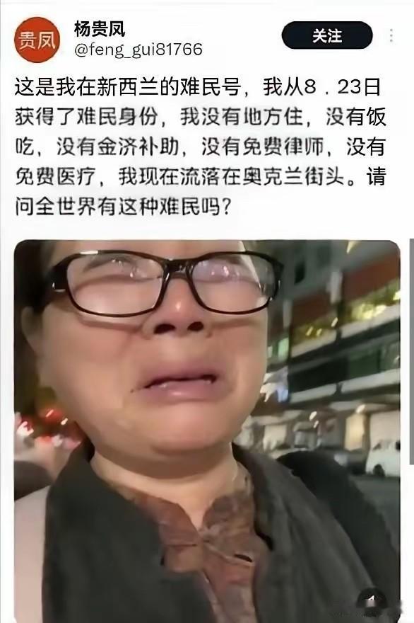 深圳大妈放着国内安稳日子不过，卖掉房产润去新西兰，本想躺平领福利当“人上人”，结