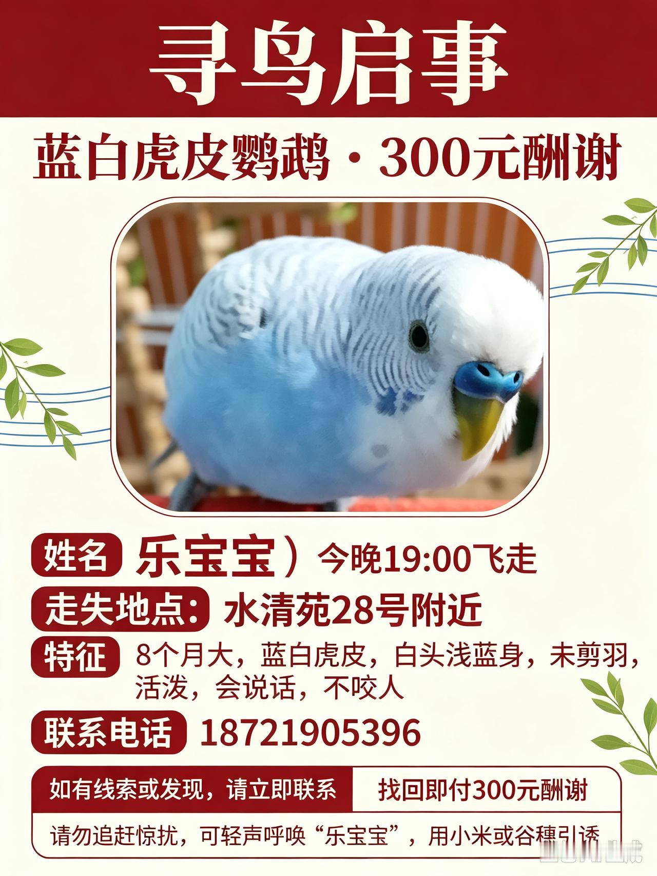 同城寻宠求助 同城寻鹦鹉 寻找宠物鹦鹉 寻鸟启事 急寻鹦鹉