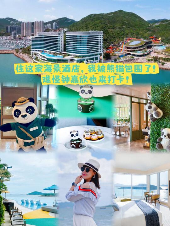 难怪钟嘉欣来，被熊猫包围的海景酒店太幸福
