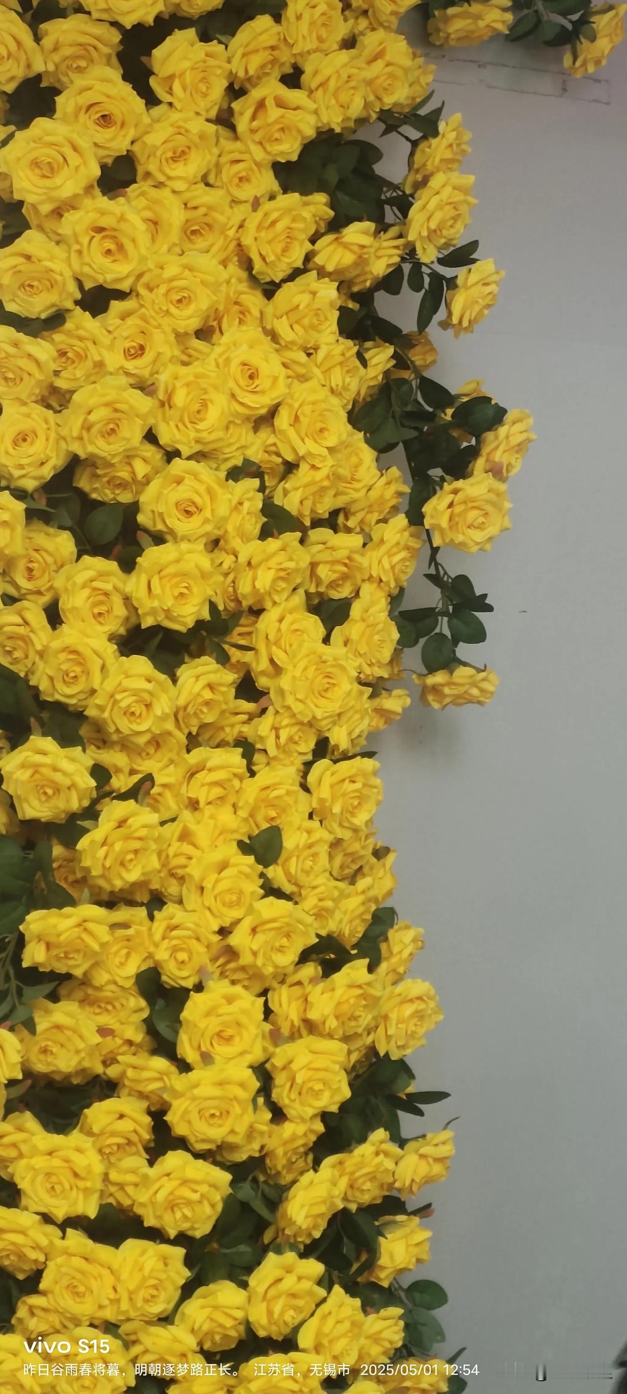 五一的南禅寺南长街:
镜头里的几张光阴札记🌸
 
几张照片在相册里蜷成温柔的折