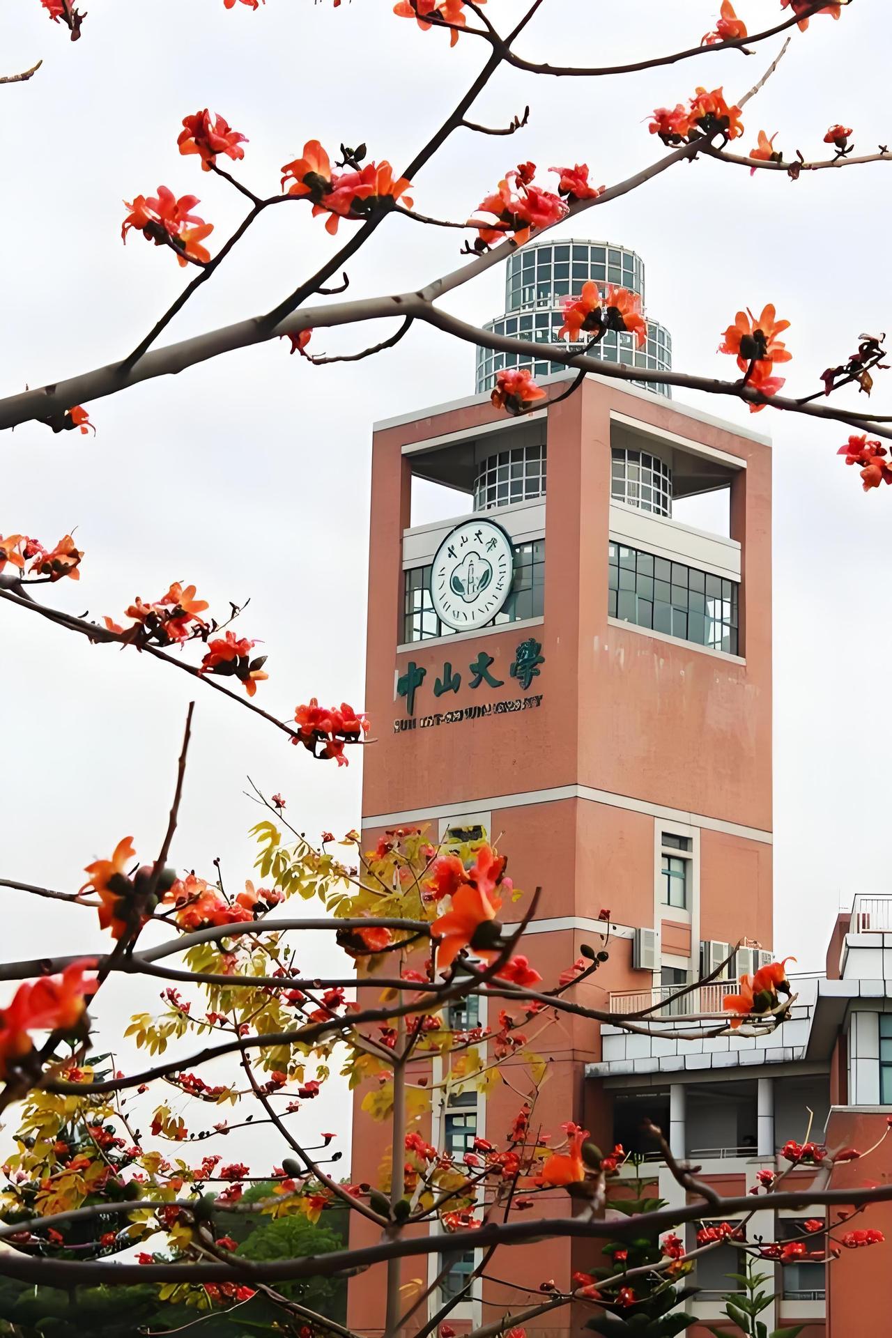 快讯！中山大学今年新增5个双学士学位项目，分别是法学+计算机科学与技术、海洋工程