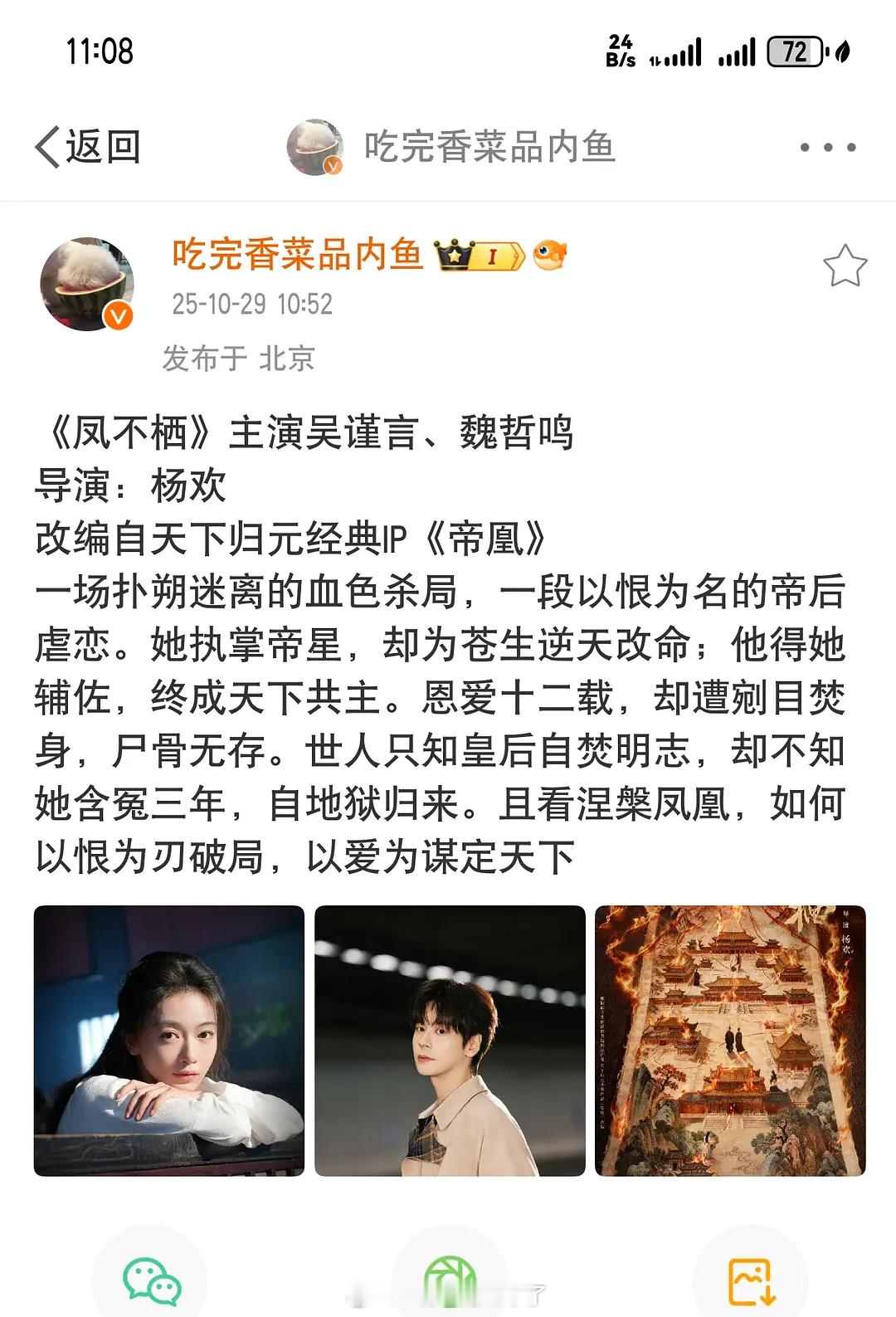 吴谨言和魏哲鸣要合作《凤不栖》？！很新鲜的搭配，还是复仇赛道！ ​​​