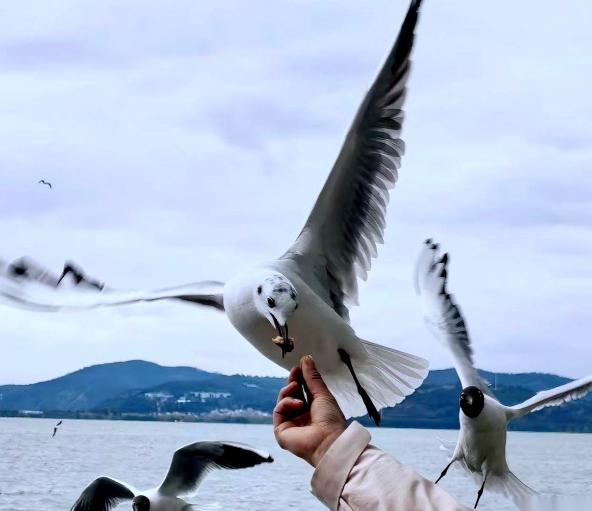 都在说，美国要收手了，准备坐下来和谈了。

这样的说法在最近几周可以在各大新闻头