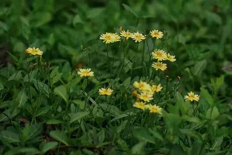 我的今日状态：💪🏻充满干劲
我这里的天气：🍂微风，大地每天都在变化，山坳里