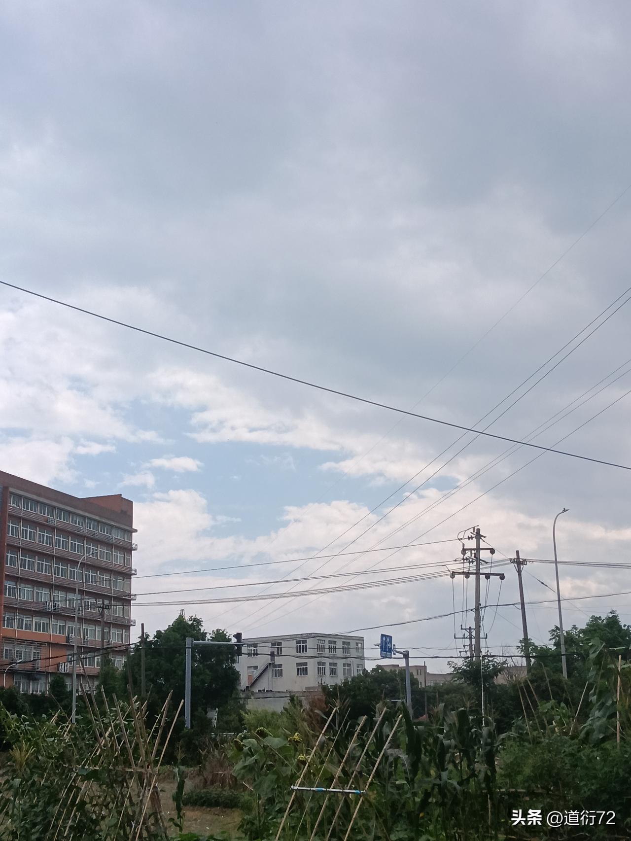 据说美国人没有反思自己为什么有这么多的特权？反而责怪特朗普多事。事后通过多方了解