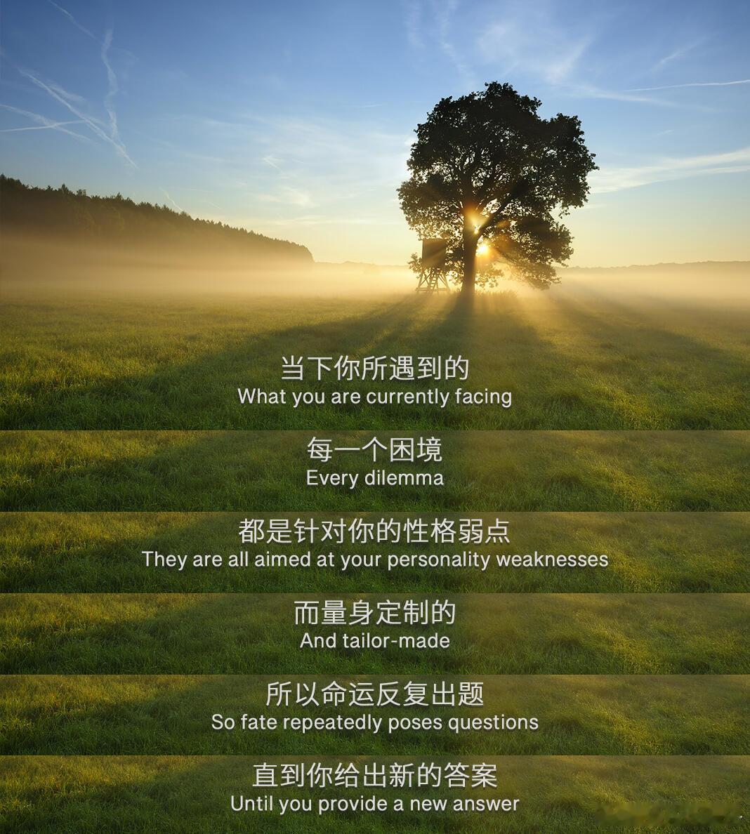 决赛开始前就在构思今晚比赛结束后要写点什么。直到0-3、群访结束、媒体合影结束…
