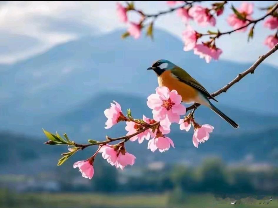 大家给把把关，介绍一对男女朋友，看看合不合适？女的刚入职，教师家是农村，有个姐姐