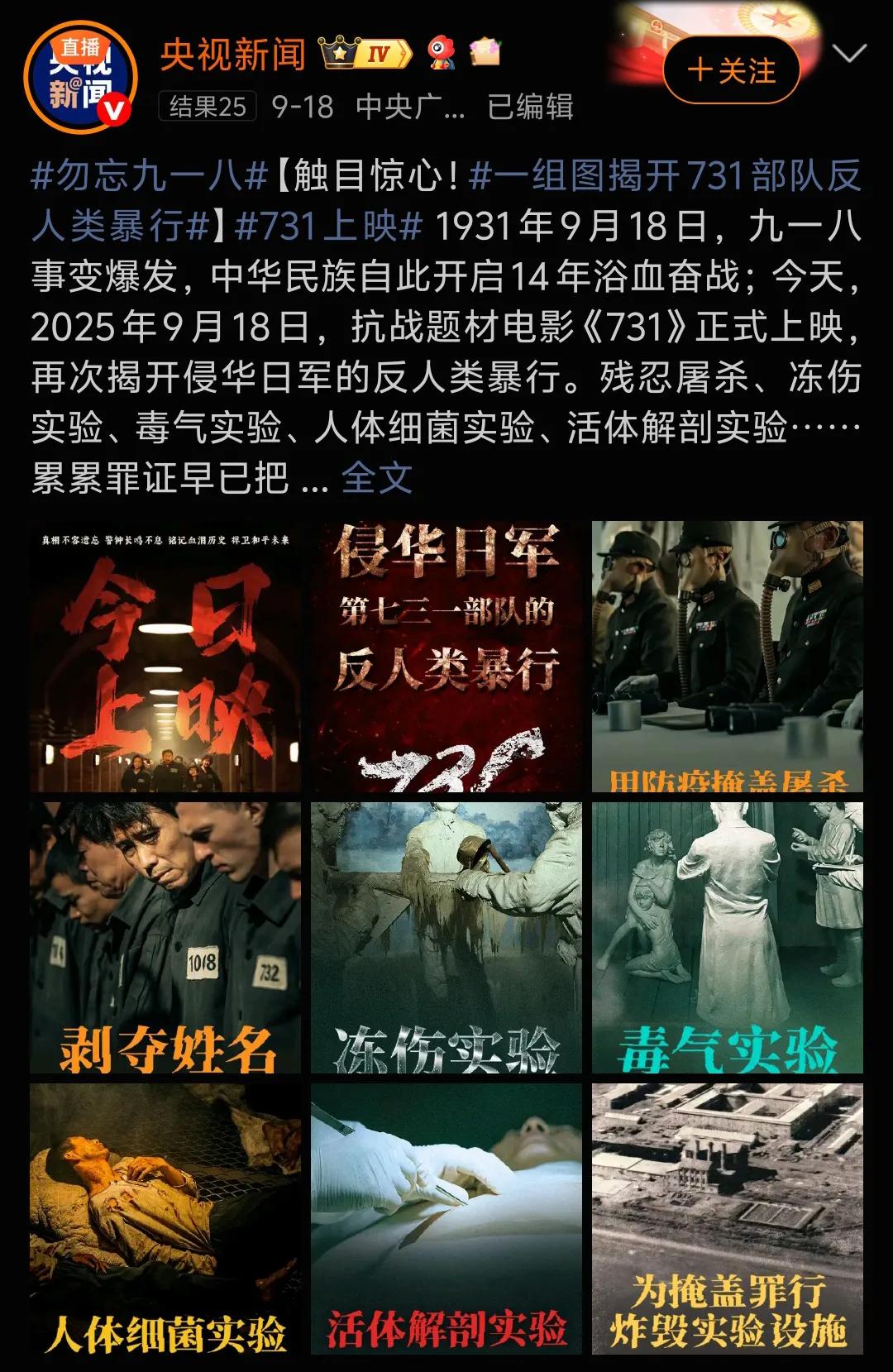 电影《731》主要有3个主题：
揭露历史罪行与捍卫记忆
人性、良知与抗争精神
世