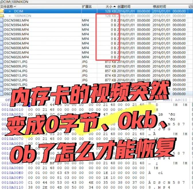 howto |演唱会视频突然变成这样了怎么恢复
客妹刚拍完演唱会，满心欢喜准备回