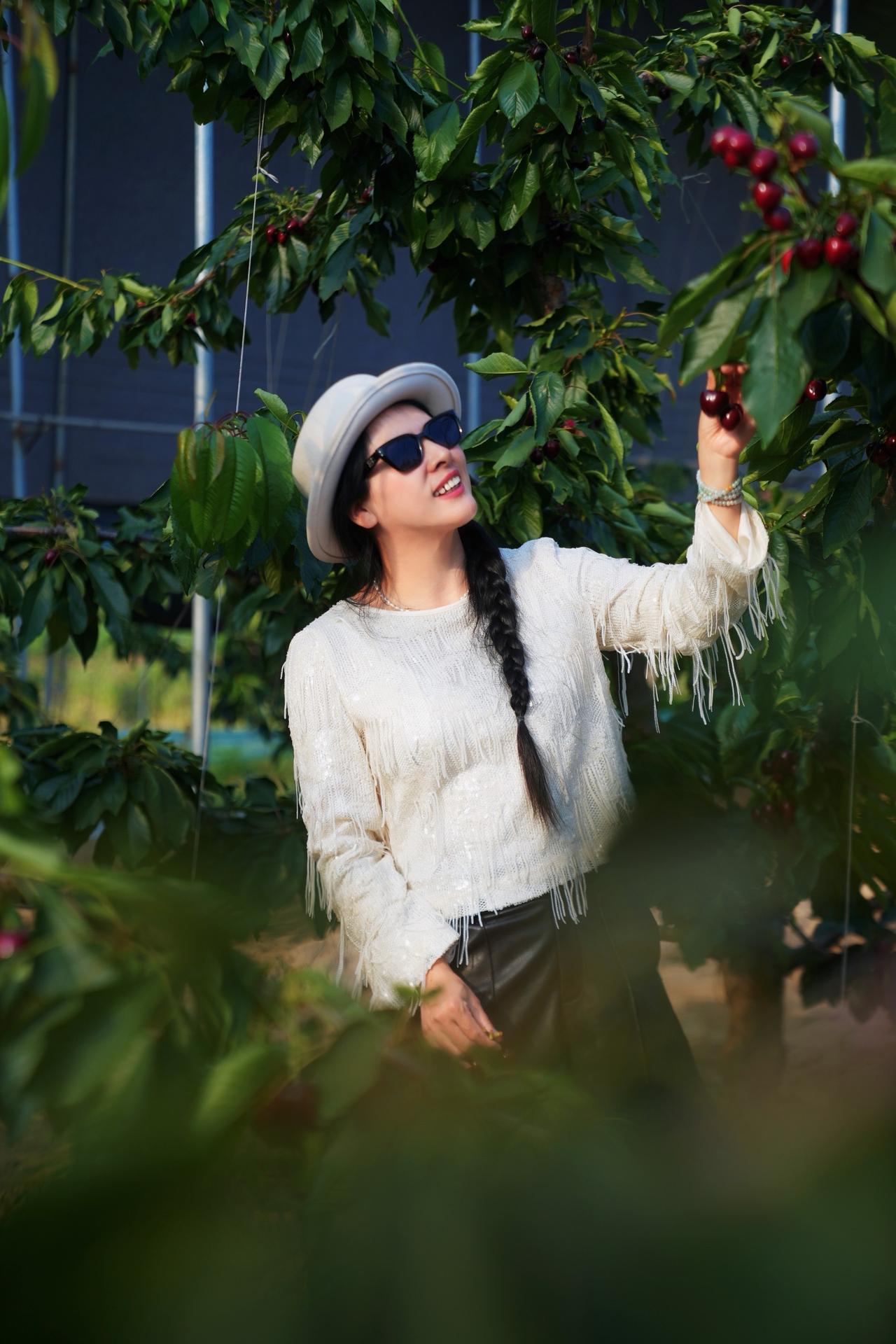 山西翼城县的车厘子🍒

一颗十几块，
除了贵没毛病～