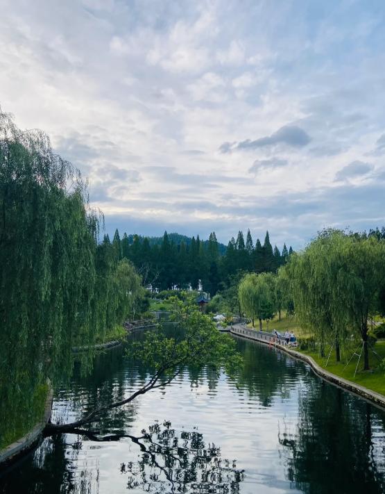 河南西瓜滞销，这场爱心接力太暖了
亲爱的朋友们大家好，我是海林小百科，今天我们来