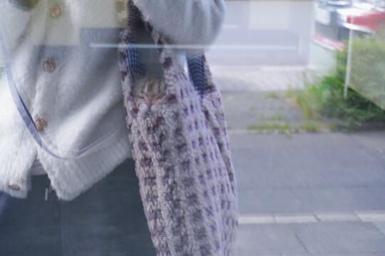 🇩🇪那就在杜堡浅浅春游一下咯