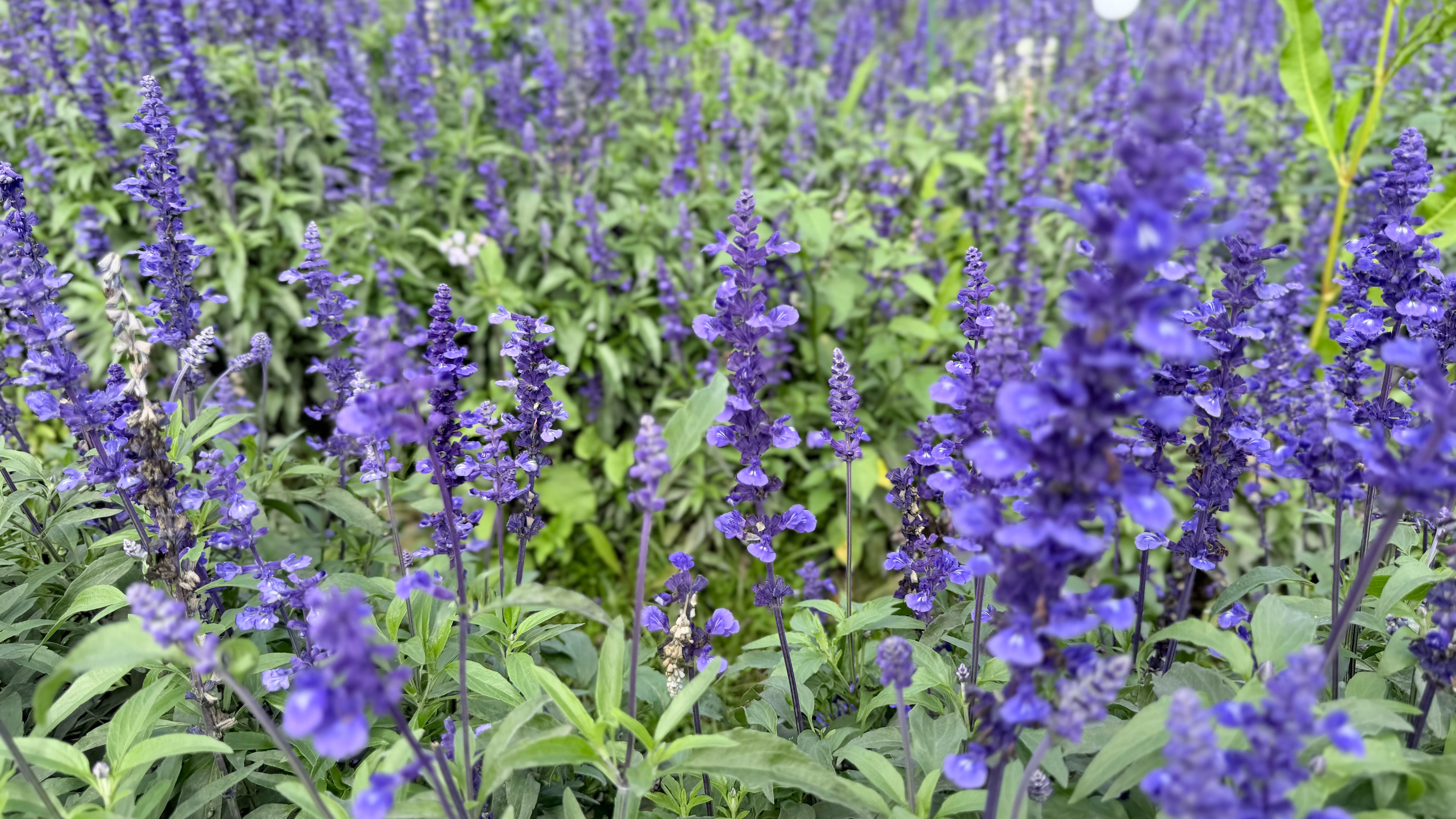 2025最燃音乐现场TOP30