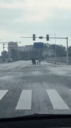 哎，这是马路不是公园啊[灵光一闪]