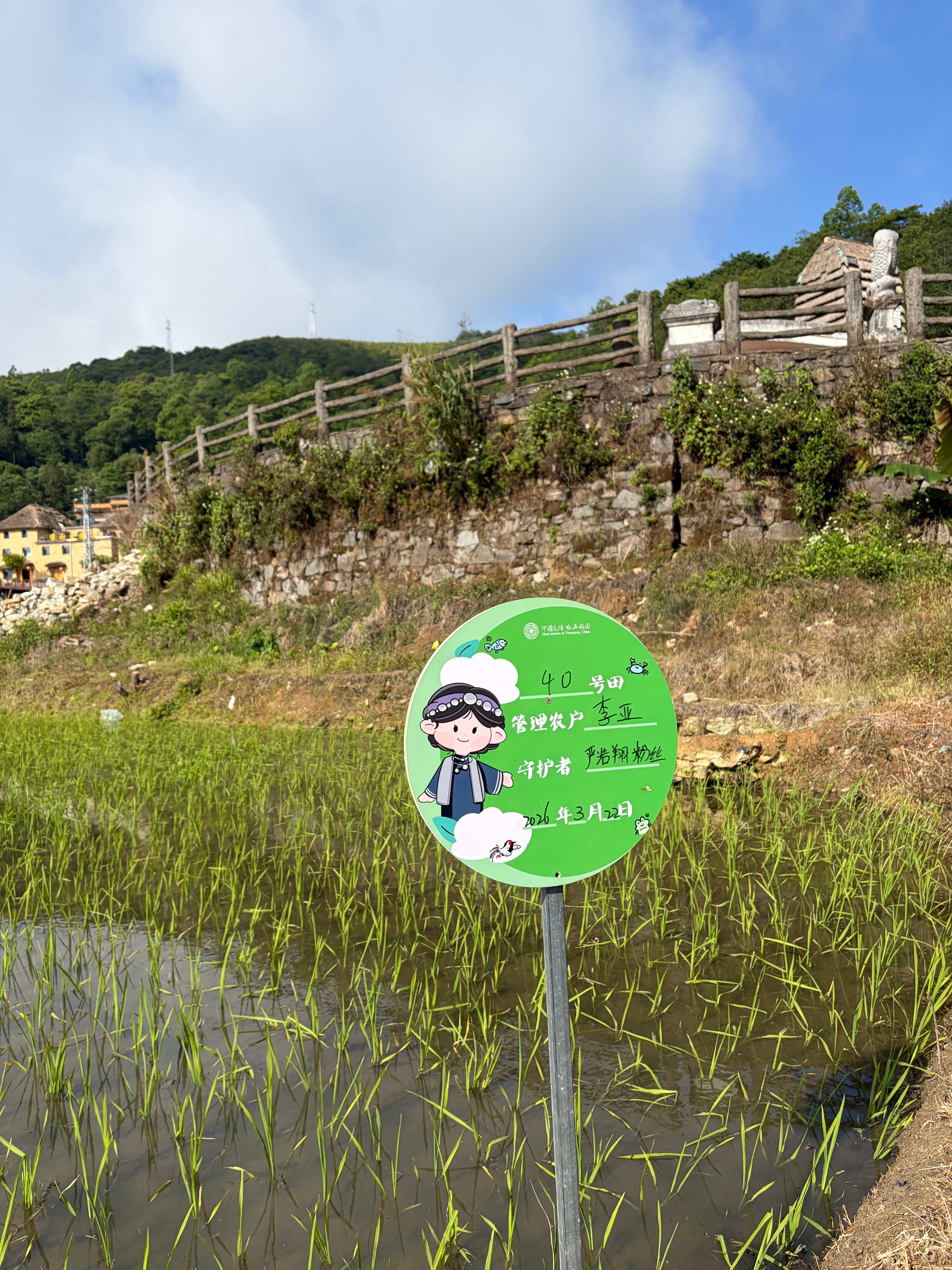 严浩翔  梯田农作物进度和苹果树的实时监控截图梯田网页链接苹果树网页链接