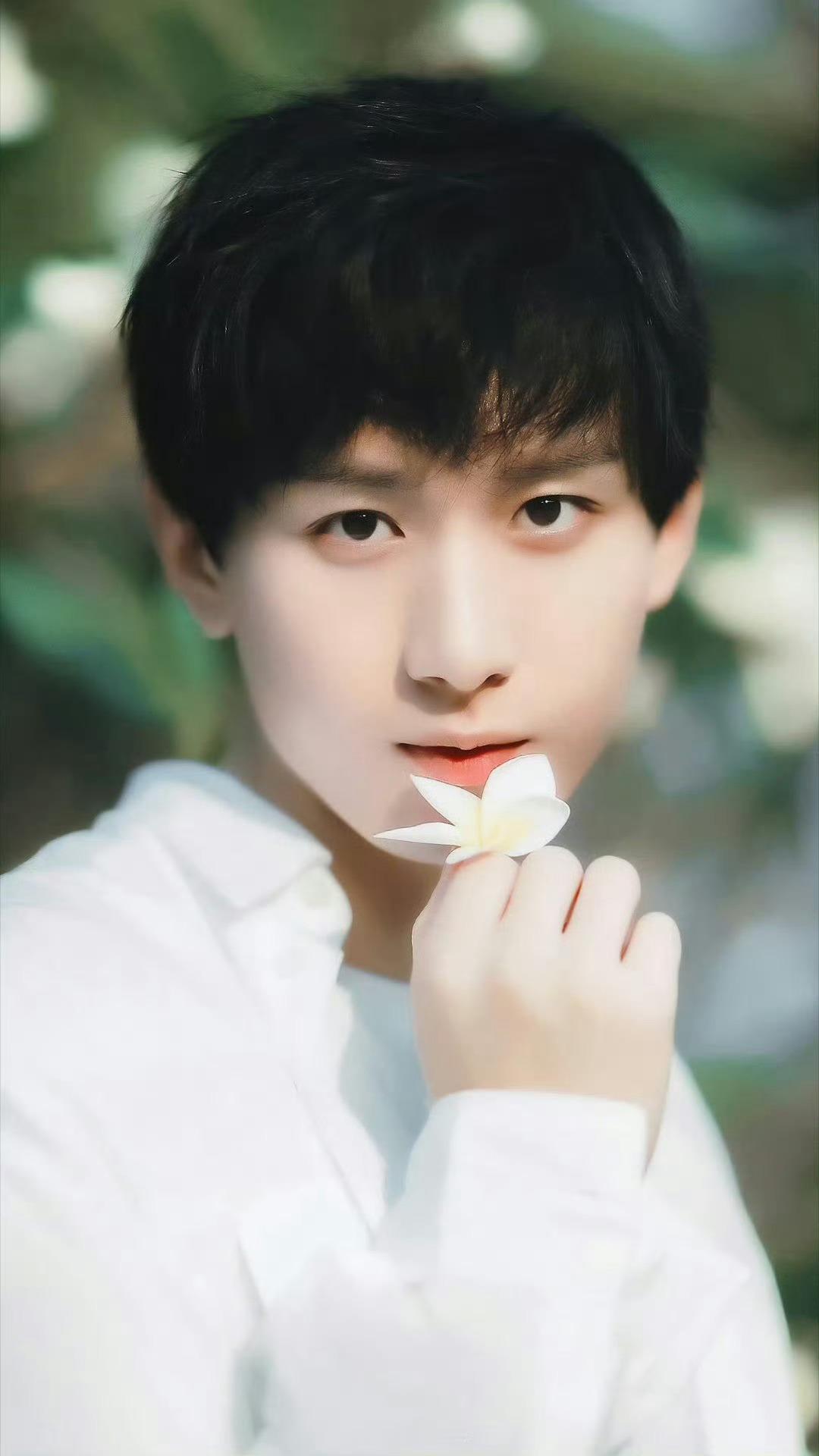 与你共赴一场 春日花事🌸成毅