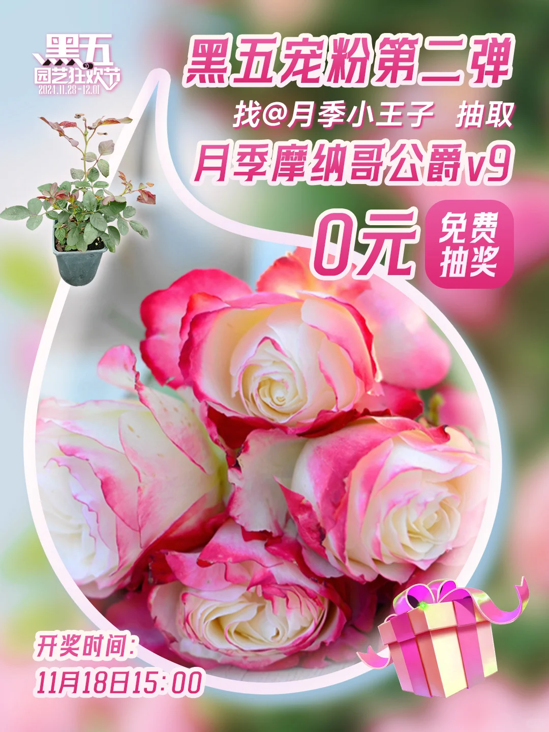 黑五浮力官来啦 第二弹宠粉礼快去找蹲他！