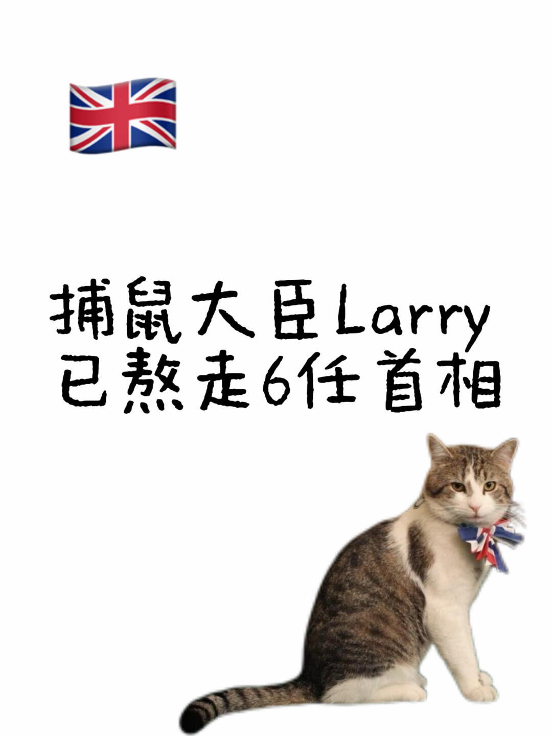 捕鼠大臣Larry已经熬走了6任英国首相 