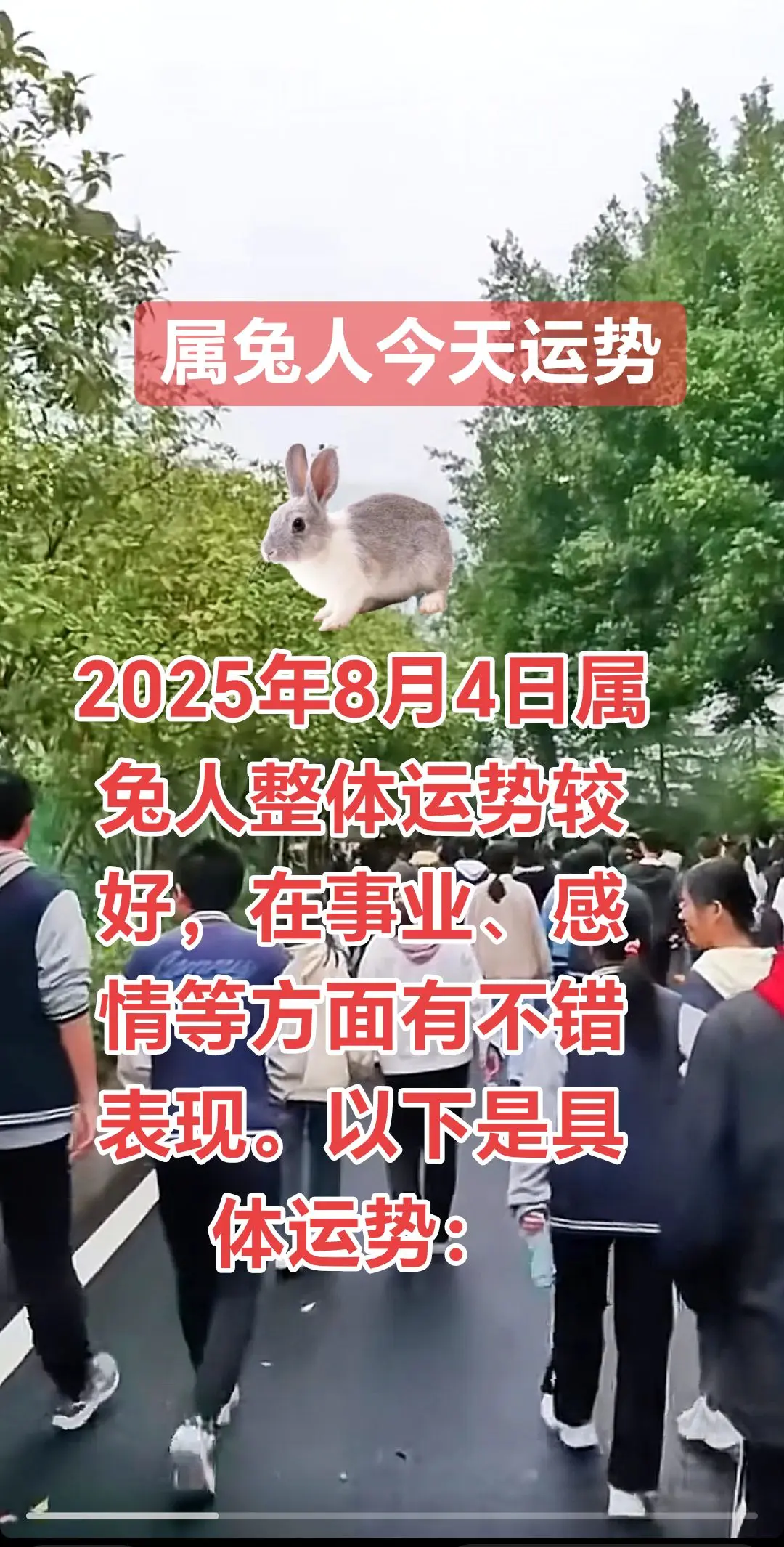 2025年8月4日属兔人整体运势较好，在事业、感情等方面有不错表现。以...