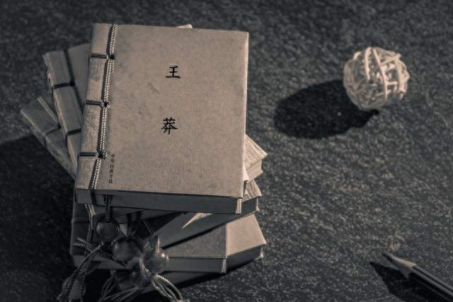 王莽：被骂两千年伪君子，可他真是演出来的圣人吗？