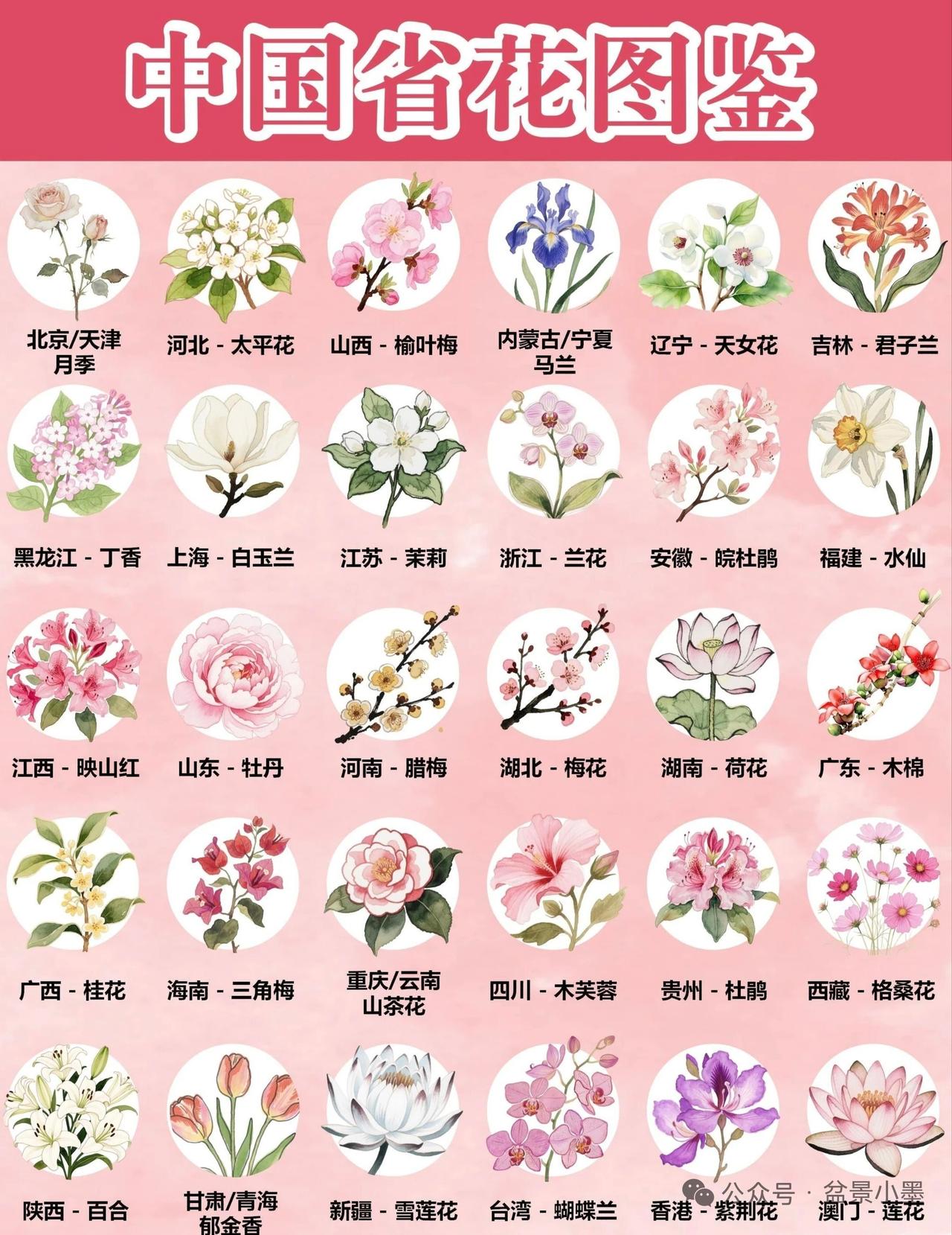 中国地大物博，34个省级行政区的省花各具特色。北京的市花是月季和菊花，月季四季常