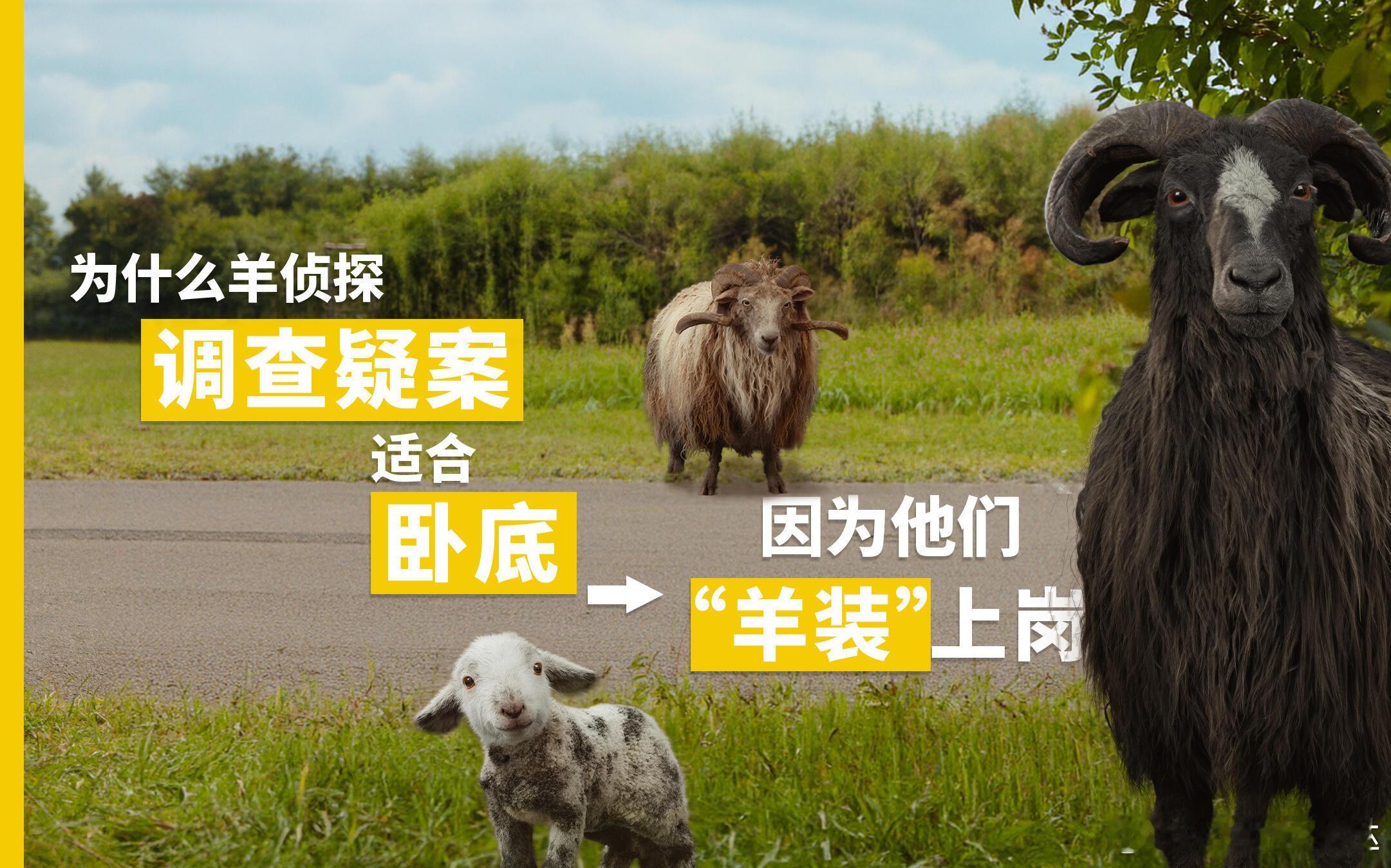 这才是我们300月龄宝宝应该看的电影啊😭😭腾格尔终于对送别下手了