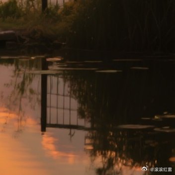 构图、光影、快门声，都抵不过深夜里安稳的呼吸，晚安。 