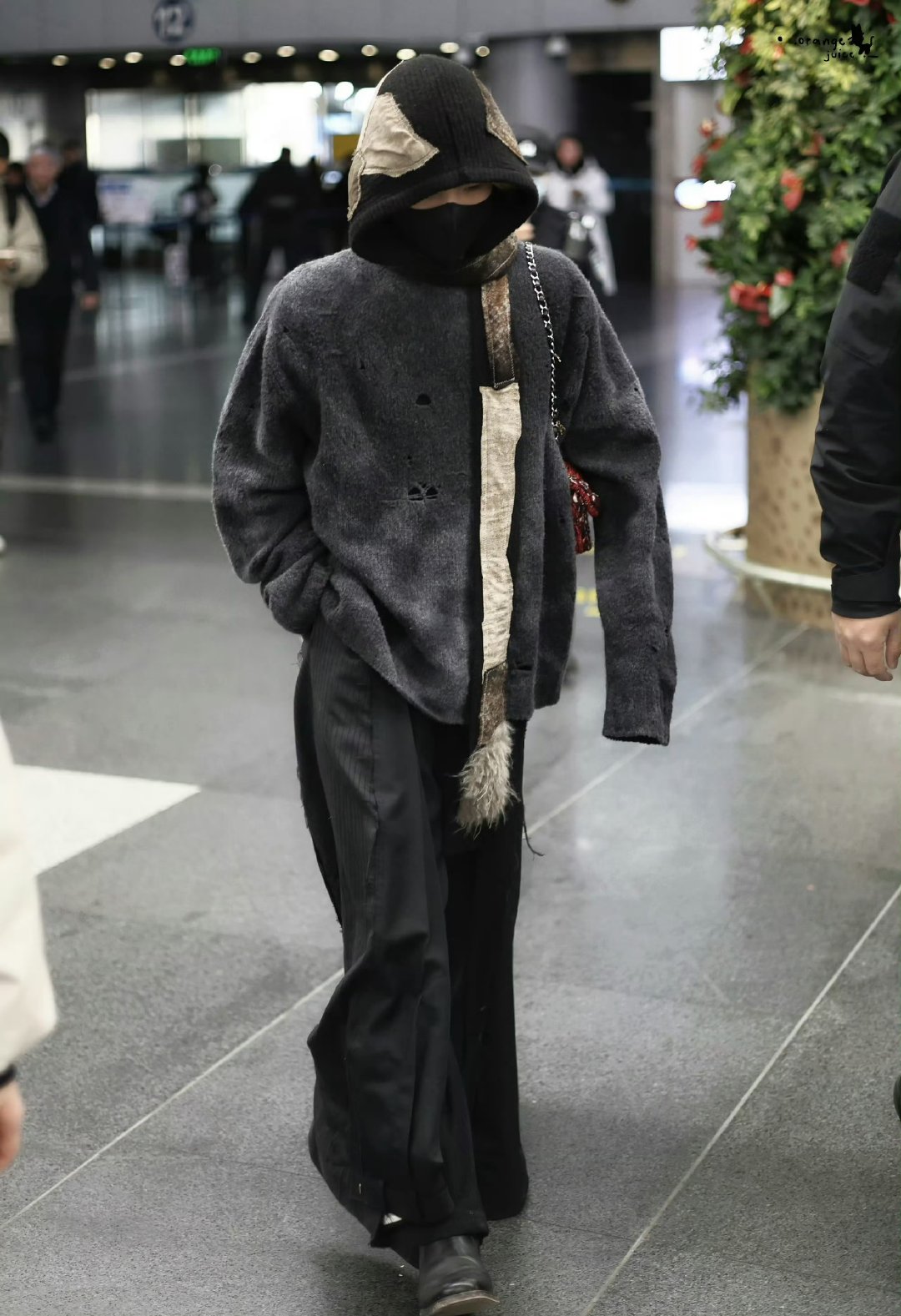 周震南何洛洛夏之光出发蘑菇屋2路透