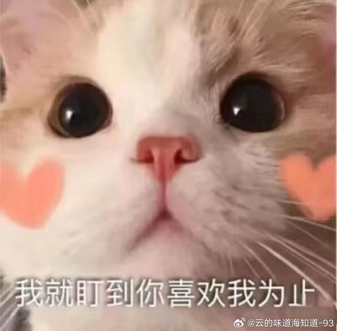 谁还没被这个可爱的小萌物给迷鼠呢是你吗？ 可爱咪～的表情包，人，你值得拥有物太萌