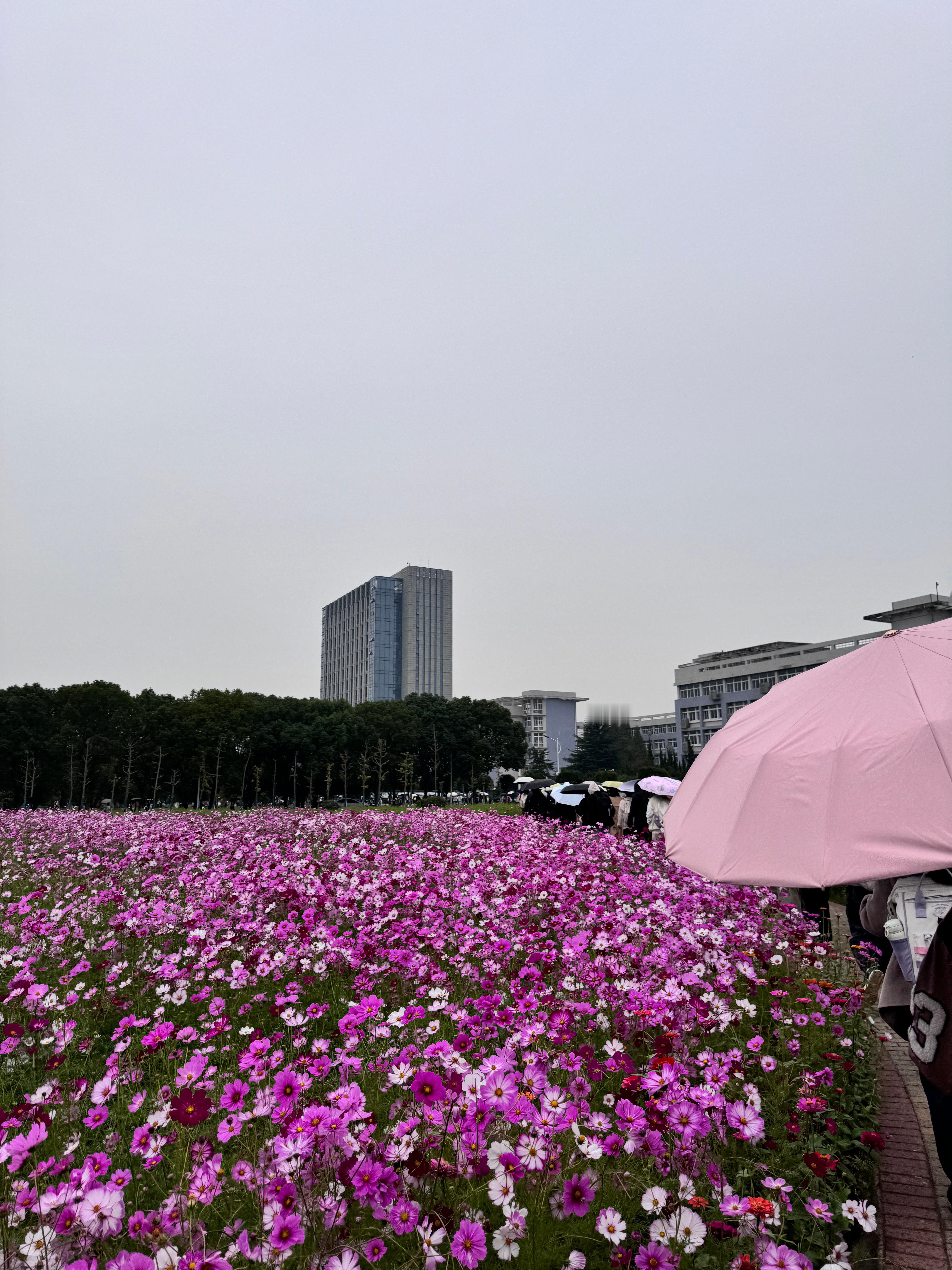 眼还没睁开就要冒着雨上早八 ​​​