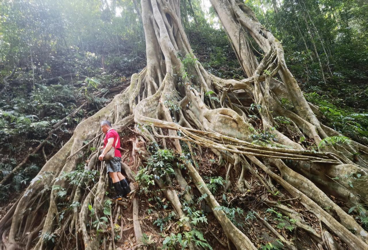 从英国伦敦回来看我的老战友漪滨兄，从小到老喜欢读书，也喜欢瓷器。他说过“家财万贯