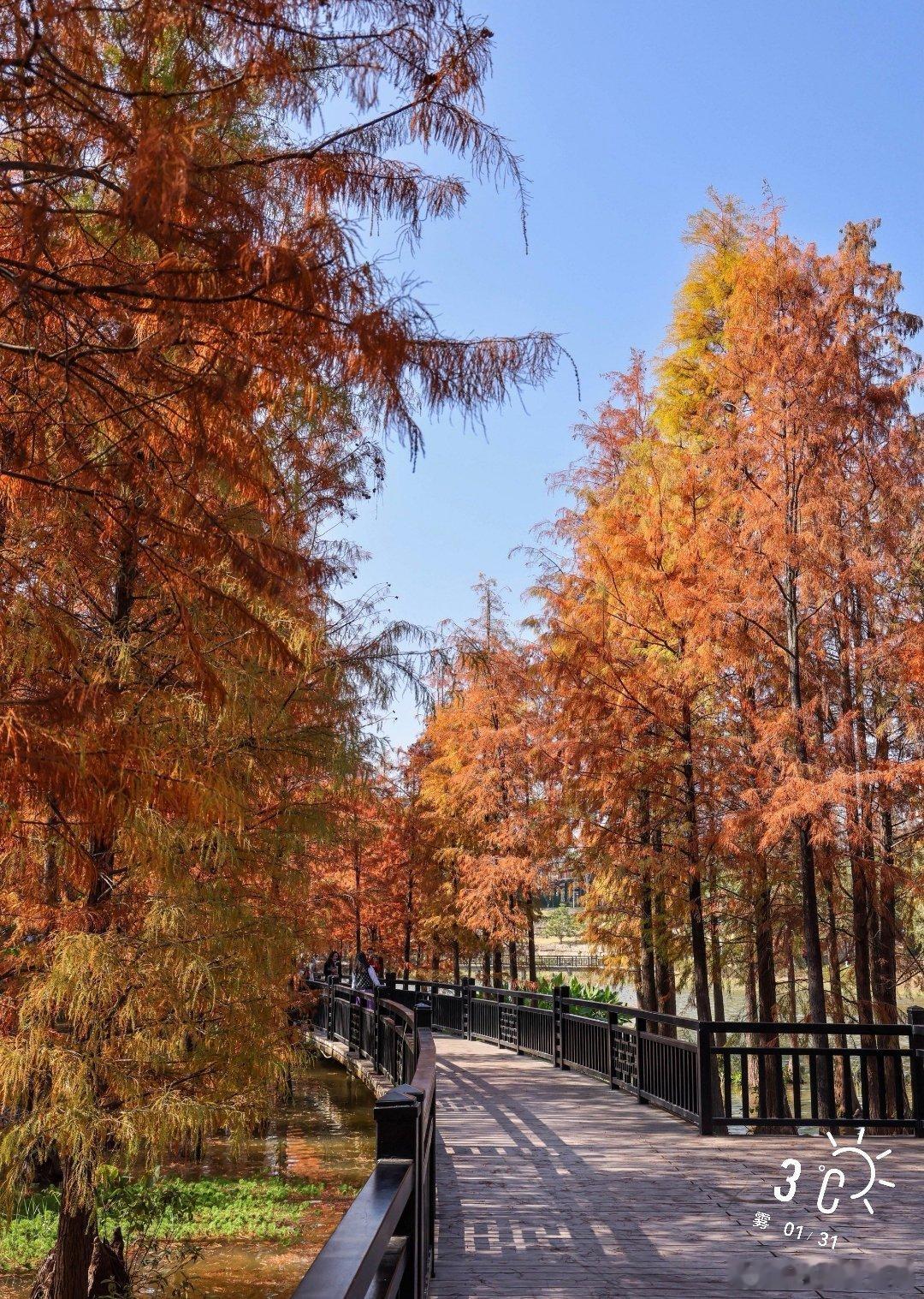 早安      温度开始走低……    