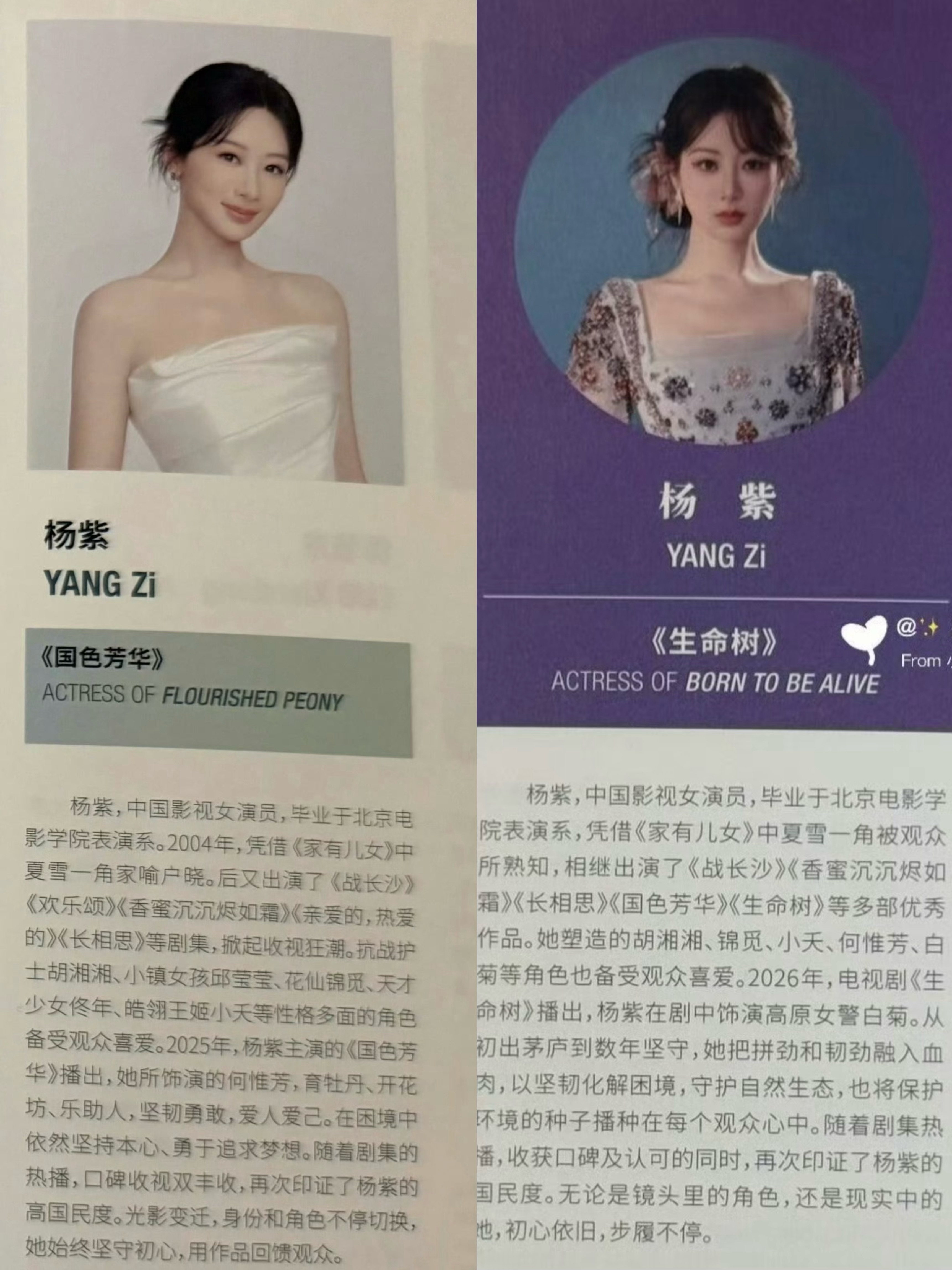 认证 紫紫的写的最好 杨紫白玉兰场刊介绍