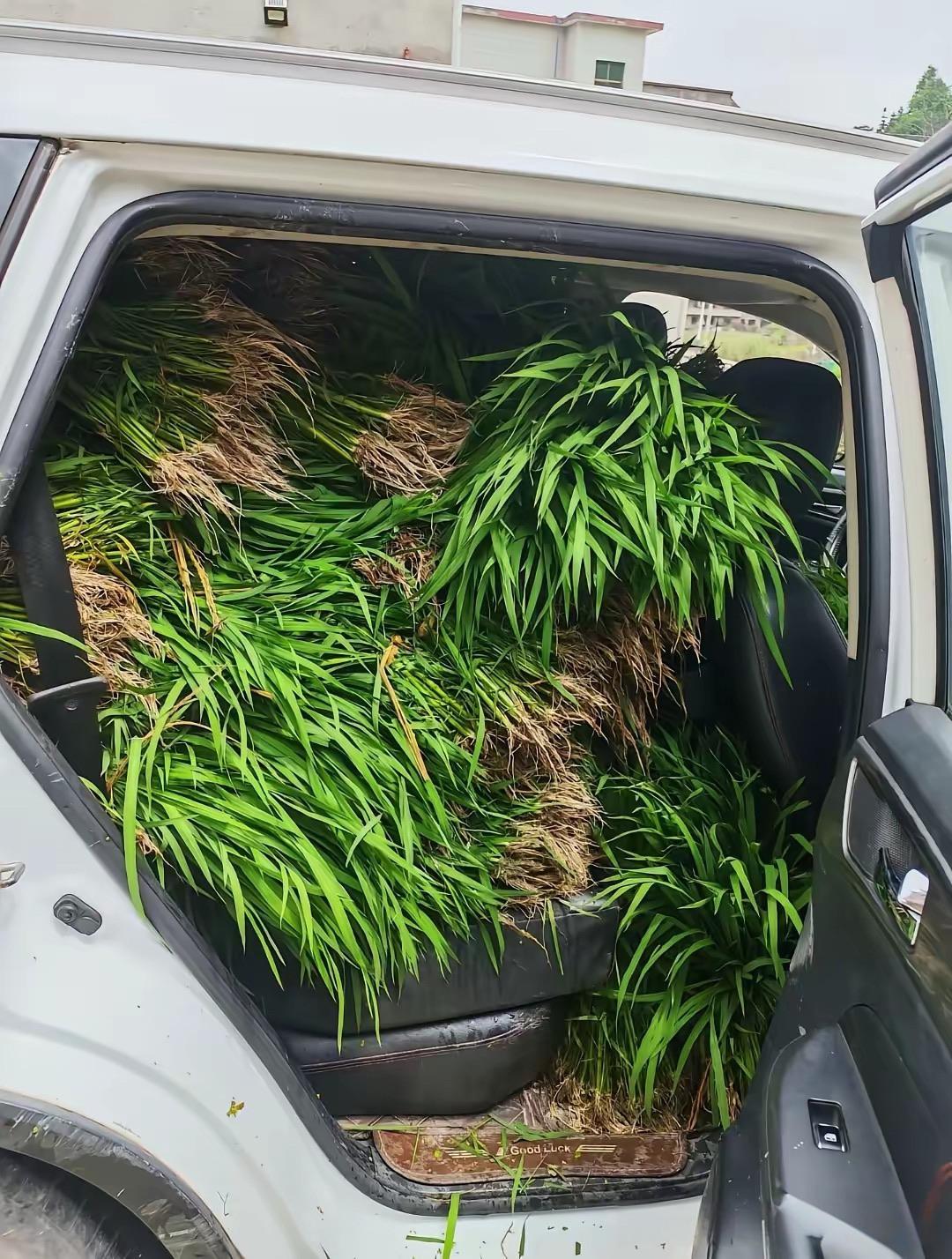 回家之后的车