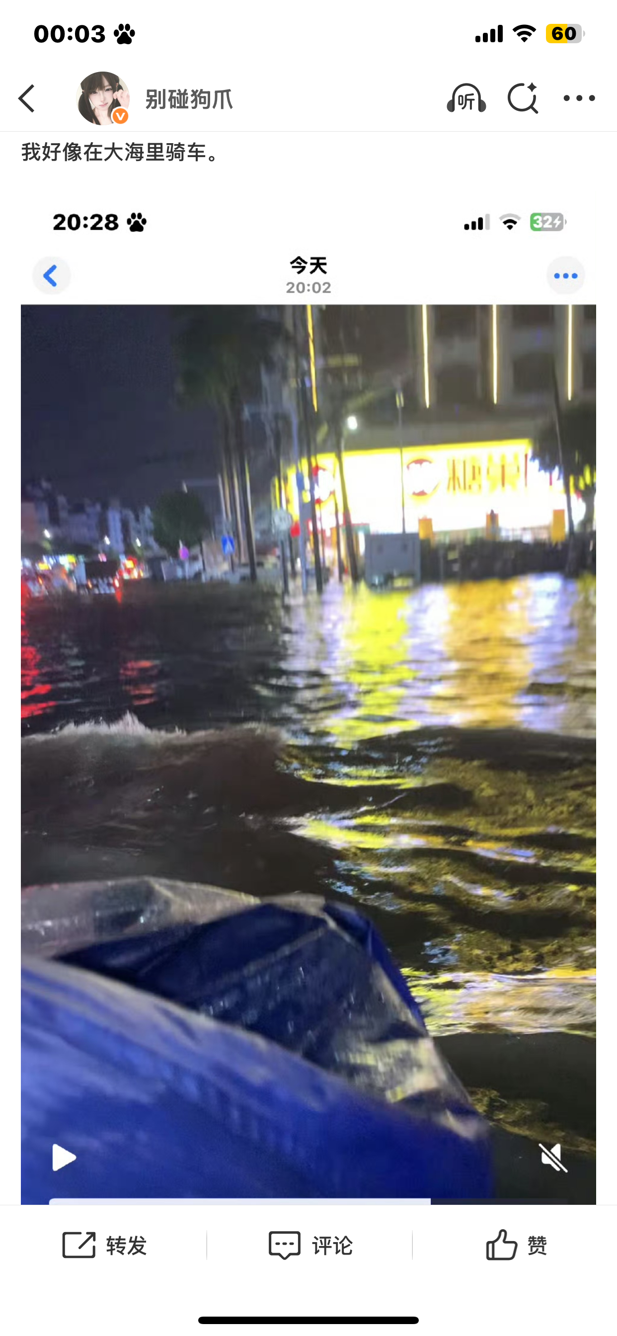 去年的今天在街上游泳 