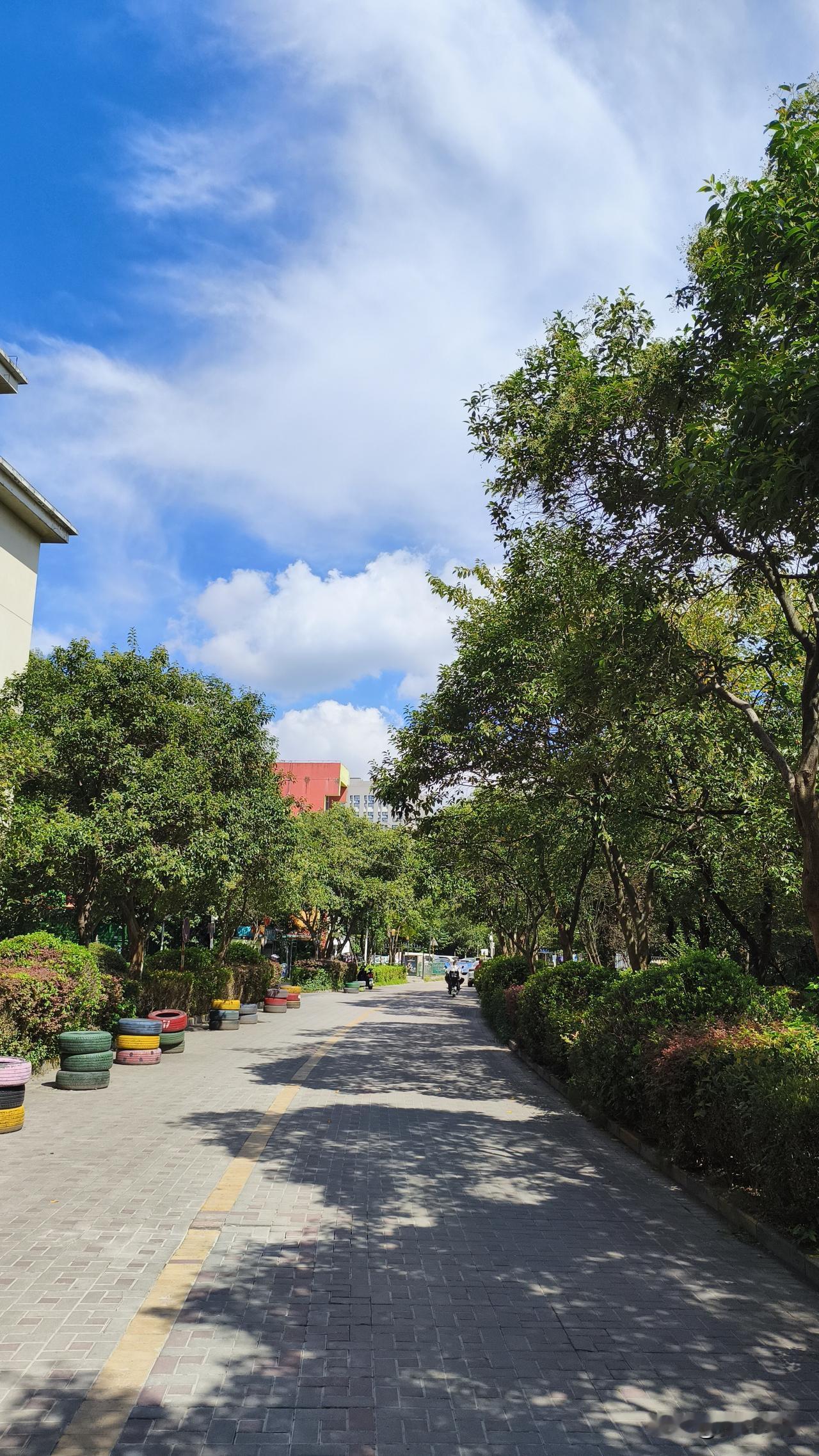 南京近期的气温缓慢升高，明天起部分城市的最高气温重回30℃以上。
这波升温完全是