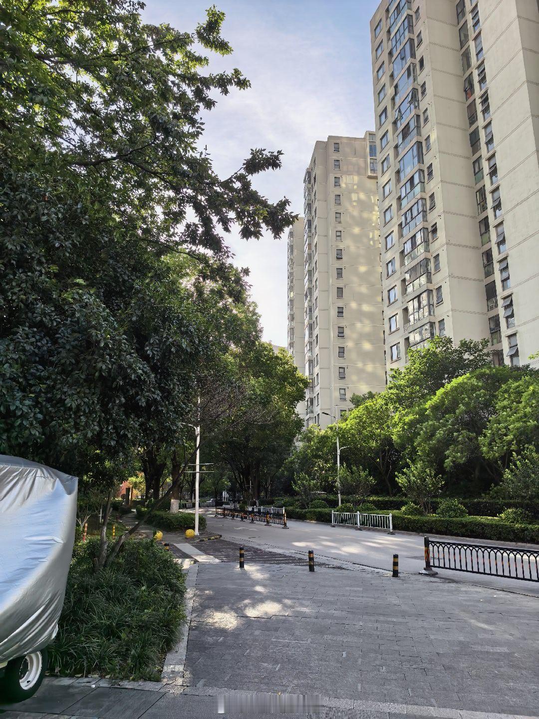 上班，今天天气好凉快啊，今年整体不热。 ​​​