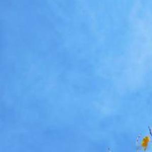 我所爱的正是晚秋因为它以盛大而灿烂结束可周而复始 明年又会见面这是自然的魅力大地