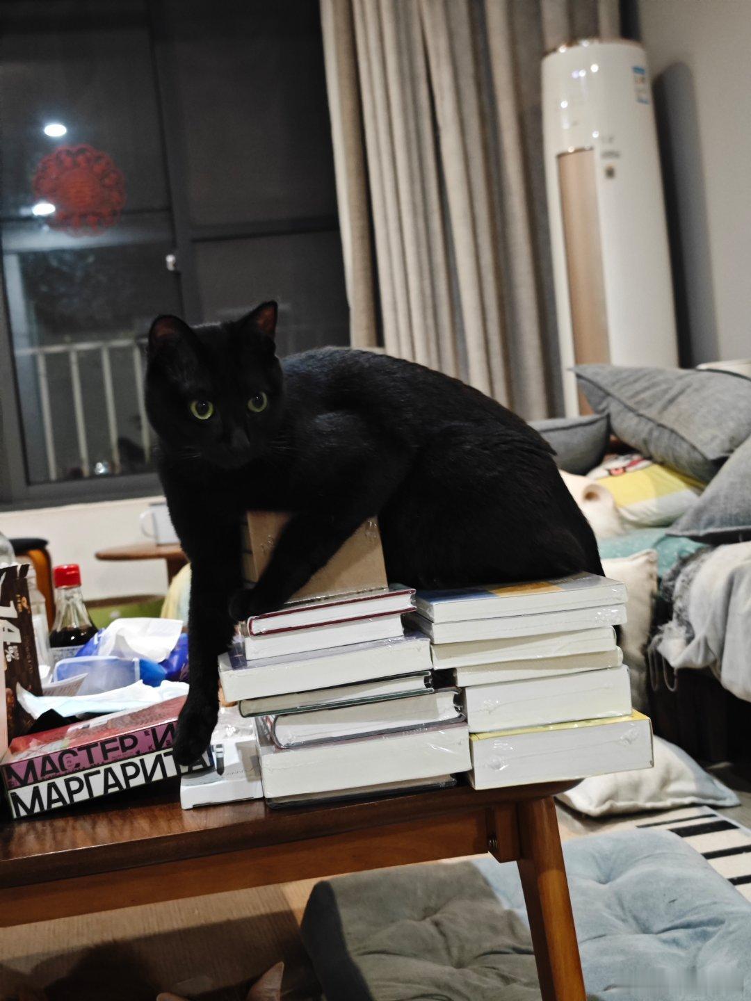 黑猫与“玛格丽特” 