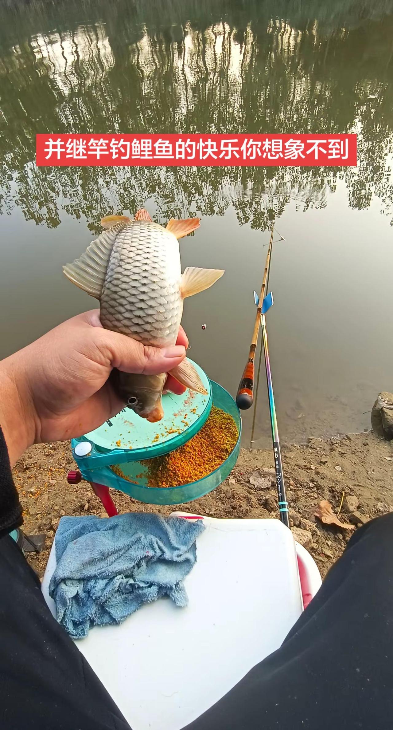 不要在意鱼获，要学会享受钓鱼的快乐。享受钓鱼的乐趣 钓鱼看风景 秋日垂钓乐