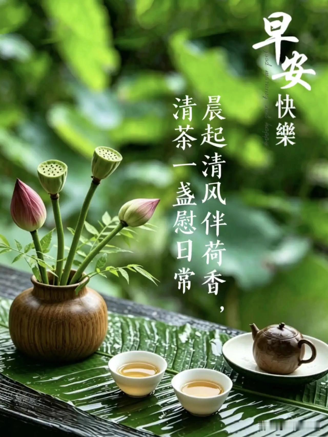 周末早安，放下忙碌，好好享受悠闲时光吧。